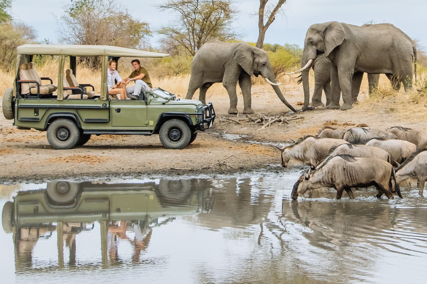 Honeymoon Safaris