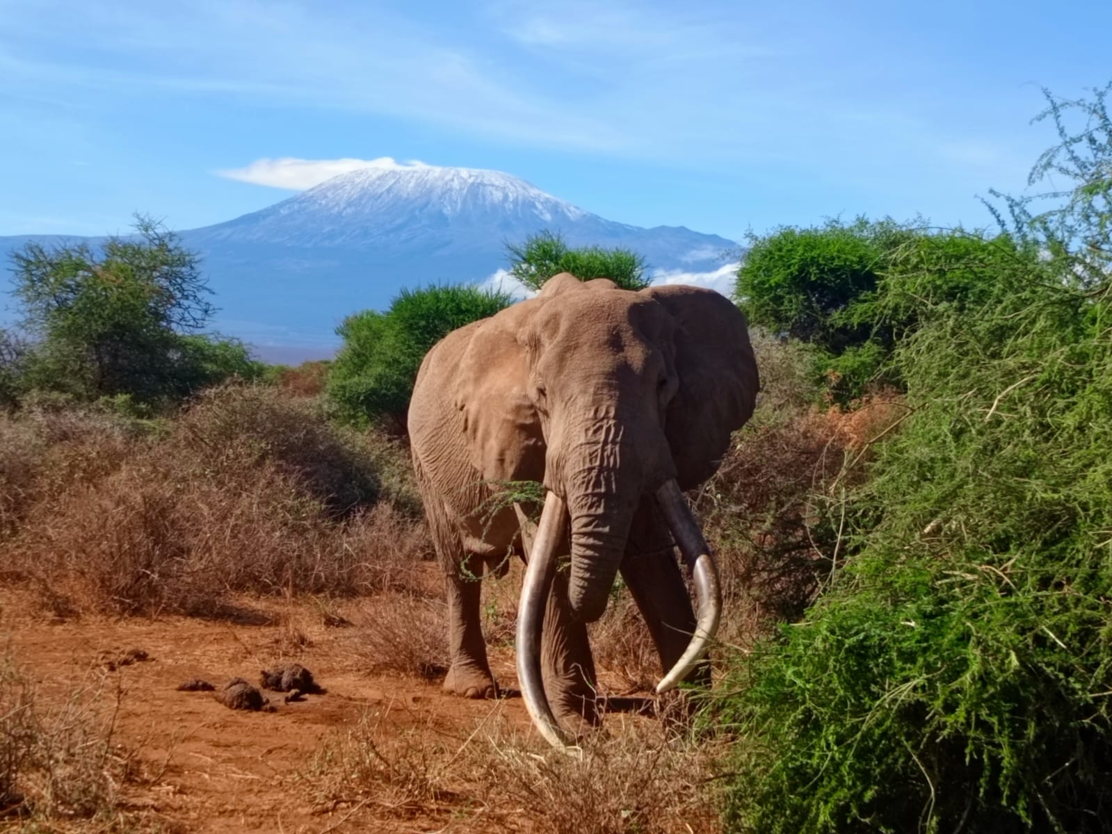 6 Days Amboseli, Lake Nakuru & Masai Mara Budget Safari