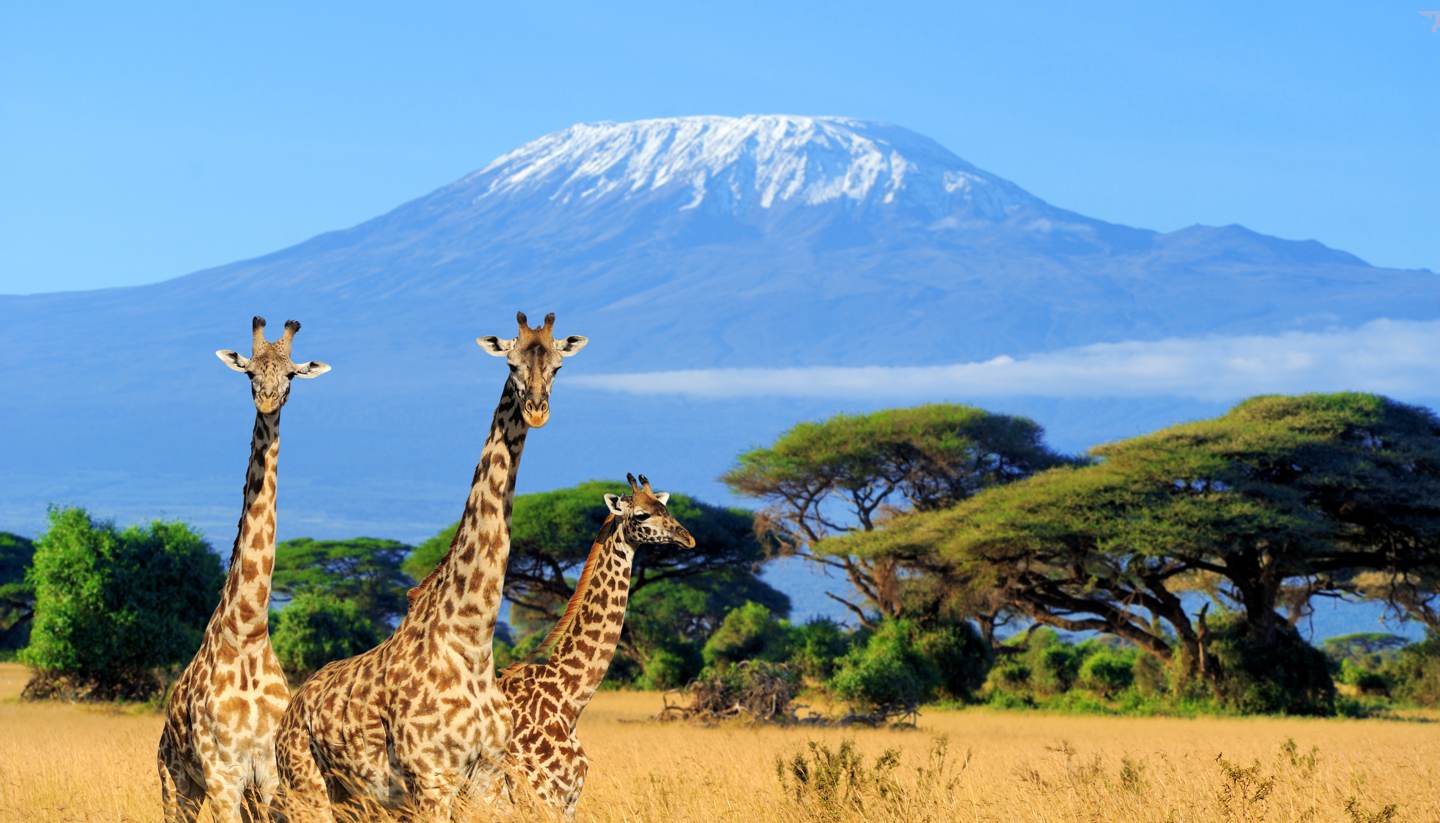 Mt Kenya Climbing