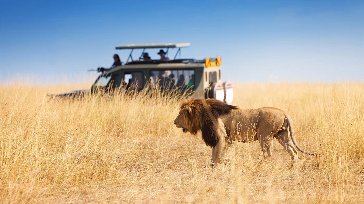 6 Days Masai Mara, Serengeti & Ngorongoro Migration Safari