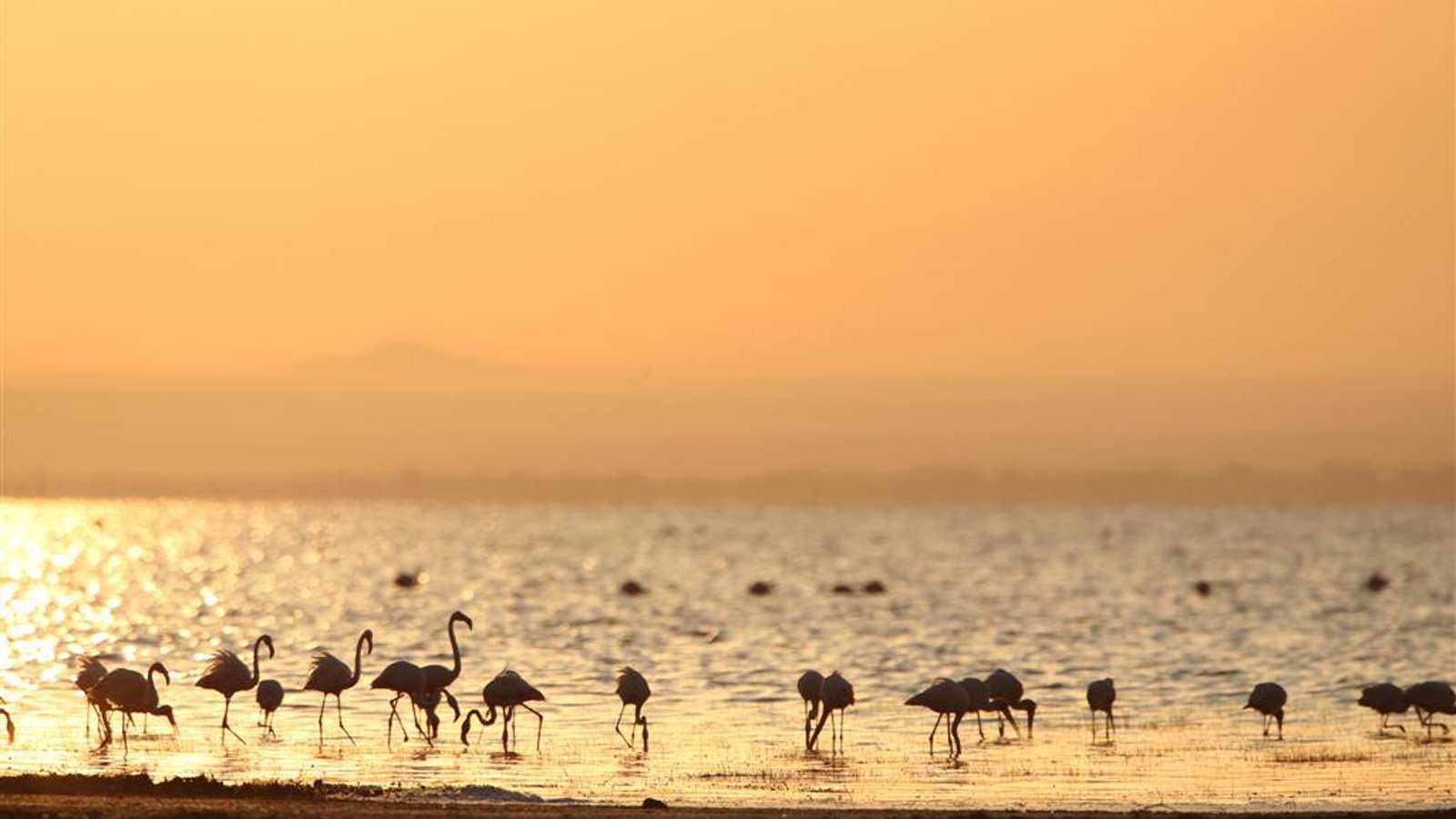 3 Days Lake Manyara & Ngorongoro Tanzania Wildlife Safari