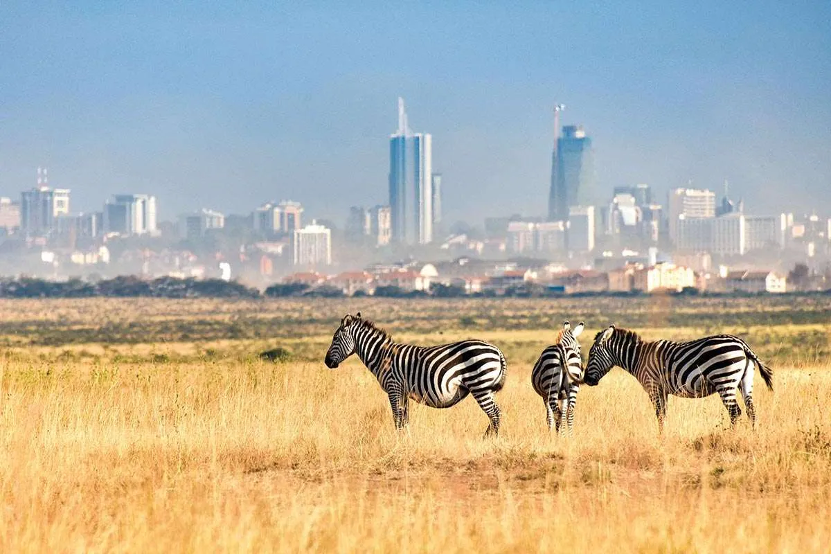 Nairobi National Park Day Trip