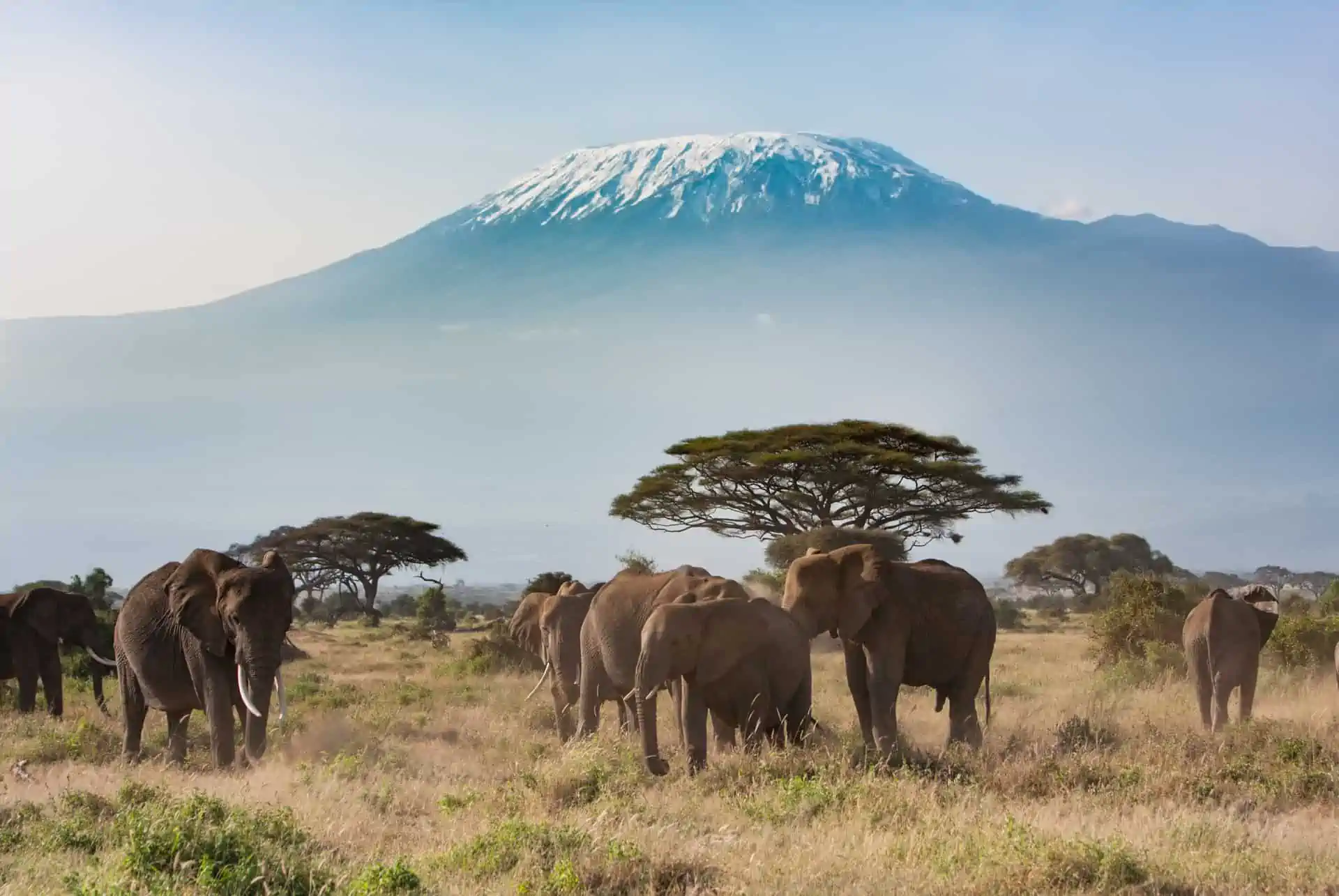 3 Days Amboseli National Park Flying Safari