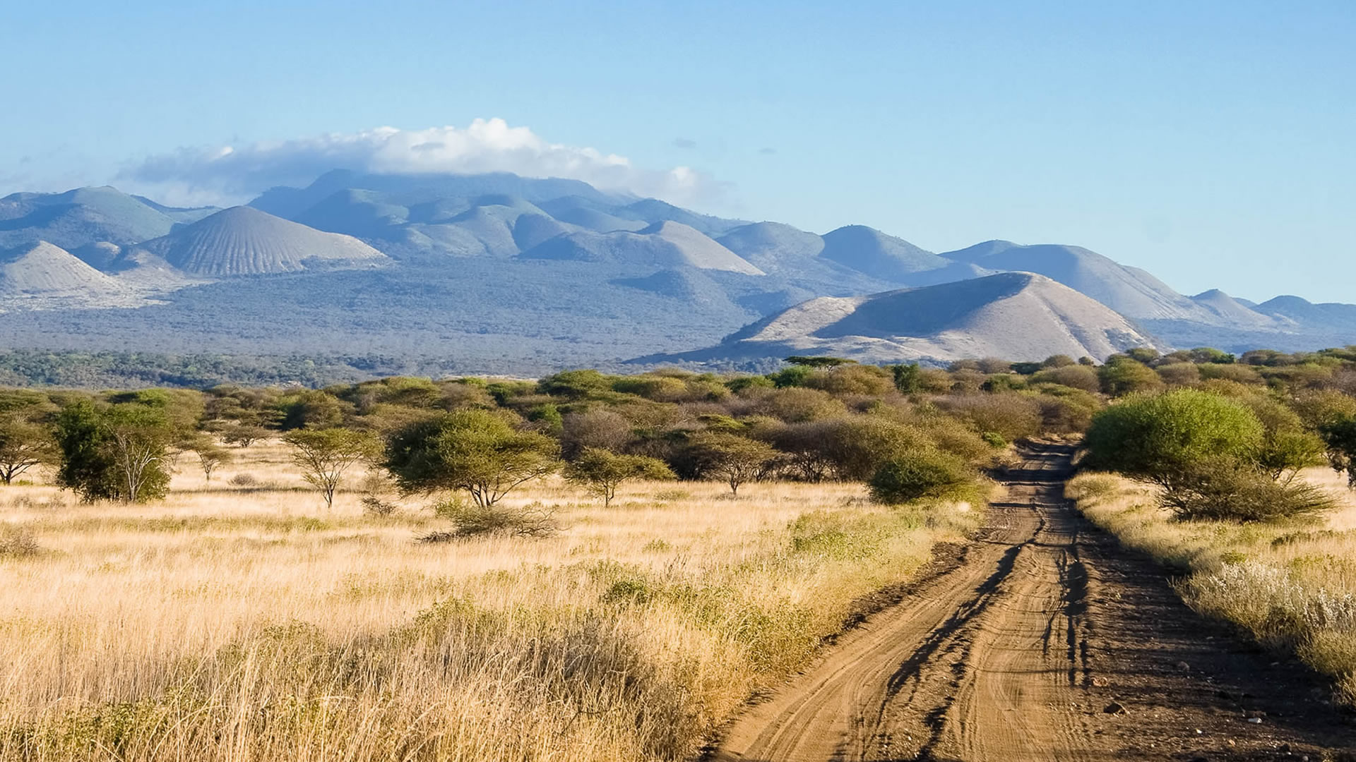 8 Days Amboseli, Tsavo West, Tsavo East & Diani Beach Tour